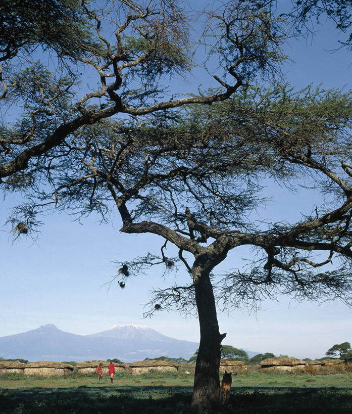 无人,竖图,室外,山,非洲,肯尼亚,地形,摄影,乞力马扎罗山,彩图,马赛人