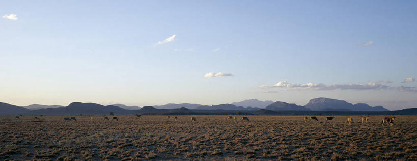 无人,横图,全景,室外,留白,山,山脉,哺乳动物,野生动物,非洲,肯尼亚,地形,草,蓝色,天空,自然,动物,平原,摄影,杂食动物,万里无云,野生动物保护区,喂养,自然保护区,彩图