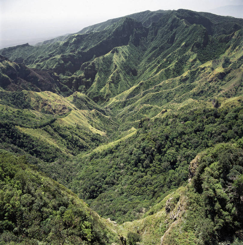 无人,公园,竖图,室外,火山,森林,峡谷,非洲,肯尼亚,地形,火山口,山谷,绿色,平原,摄影,山脊,国家公园,阿非利加洲,肯尼亚共和国,地质学,马萨比特国家公园,活火山,彩图,火山学