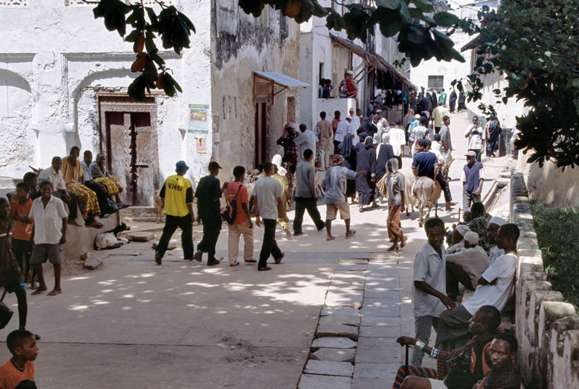 横图,城市,非洲,肯尼亚,地标建筑,放松,摄影,伊斯兰教,驴子,阿伦岛,彩图,巷