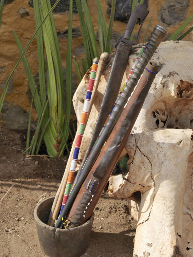 无人,竖图,室外,旅游,非洲,肯尼亚,装饰,葫芦,摄影,国家公园,彩图,旅行