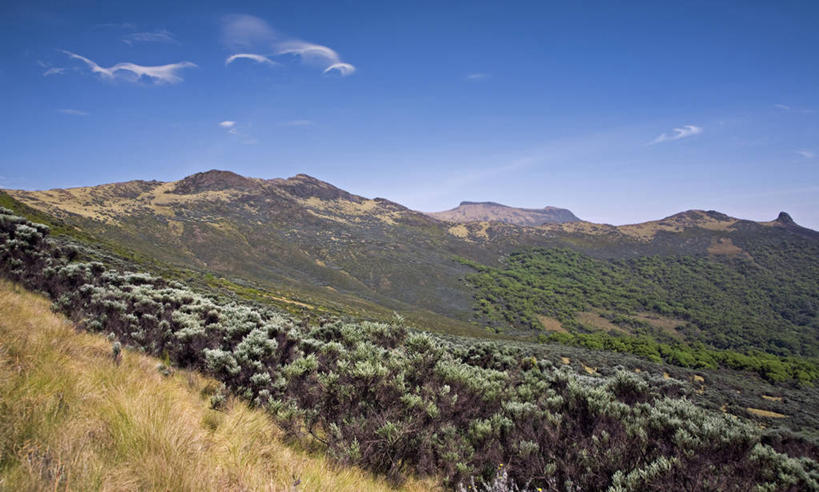 无人,横图,室外,山,山脉,非洲,肯尼亚,地形,高原,旷野,平原,摄影,国家公园,石南花,彩图