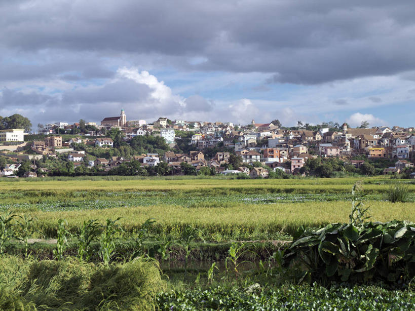 无人,横图,彩色,室外,非洲,马达加斯加,稻田,地形,郊区,首都,摄影,五颜六色,明亮,色彩斑斓,五彩缤纷,五彩斑斓,凤眼莲,塔那那利佛,五光十色,彩图