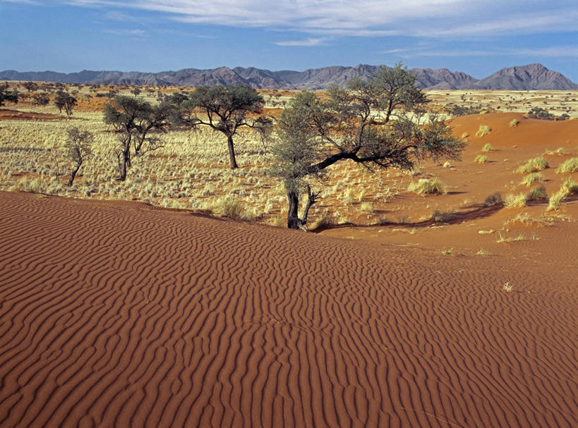 无人,横图,沙漠,山,山脉,纳米比亚,沙子,沙丘,草,树,平原,摄影,干的,纳米布沙漠,彩图