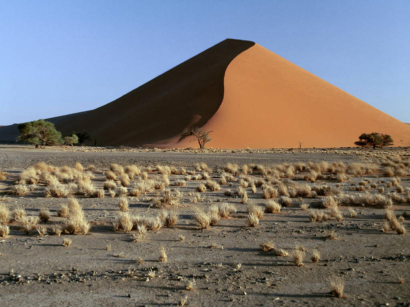 无人,横图,沙漠,纳米比亚,阴影,沙子,沙丘,草,树,橙色,摄影,干的,纳米布沙漠,彩图
