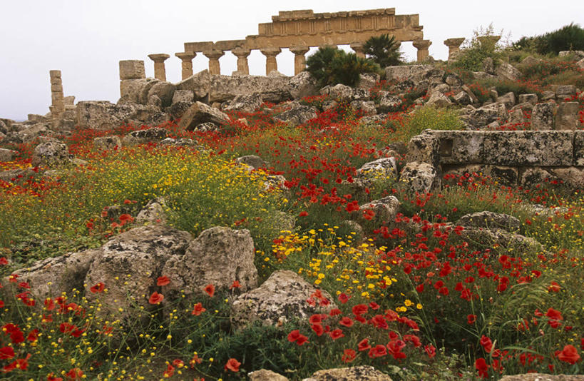 无人,横图,室外,旅游,美景,山,建筑,意大利,欧洲,废弃,柱子,地形,景观,历史,废墟,花,风景,自然,地标建筑,春天,景色,摄影,报废,废物,西西里,地中海文化,希腊文化,自然风光,丢弃,意大利文化,放弃,抛弃,摈弃,彩图,旅行,屏弃,摈斥,摒除,传统文化,多利安式