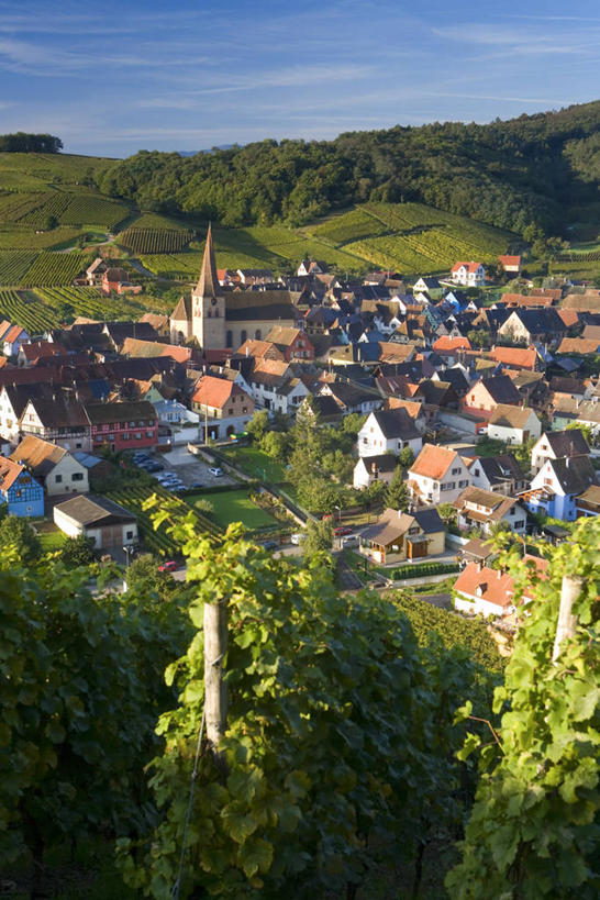 无人,竖图,室外,法国,欧洲,乡村,葡萄园,摄影,阿尔萨斯,西欧,法国文化,彩图