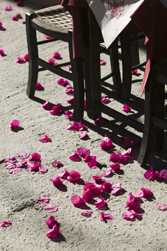 无人,竖图,椅子,希腊,岛,花,摄影,西欧,地中海文化,南欧,希腊文化,克里特岛,雷西姆农,彩图,咖啡馆