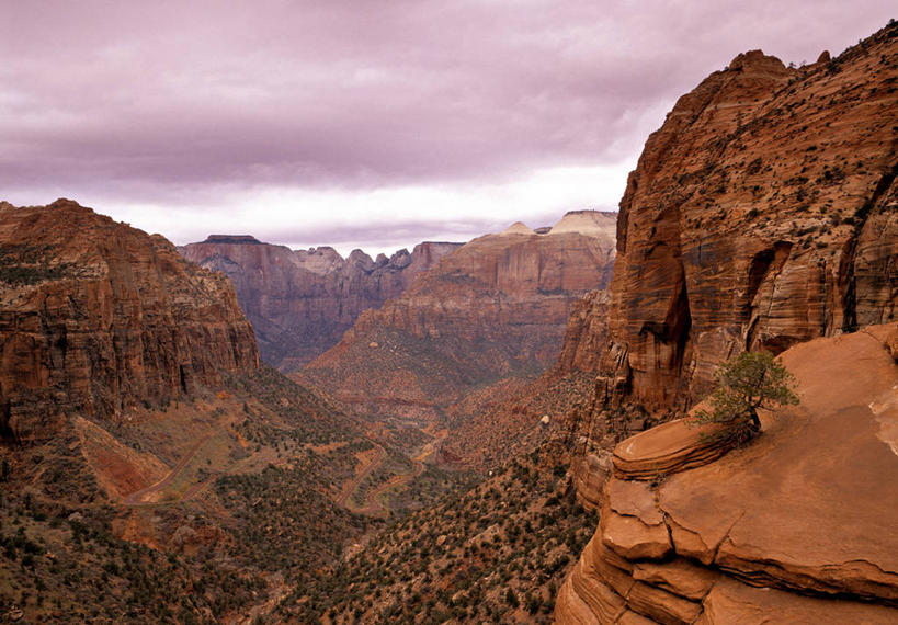 无人,横图,室外,美国,地形,摄影,北美,犹他,彩图