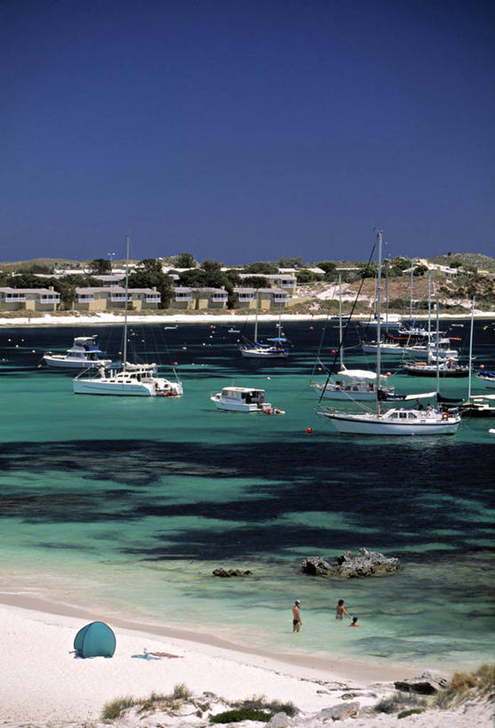 竖图,室外,澳大利亚,摄影,澳大拉西亚,海滩,彩图,旅行,罗特内斯特岛