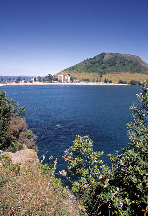 无人,竖图,室外,海洋,山,新西兰,摄影,澳大拉西亚,芒格努伊山,海滩,彩图,陶朗加