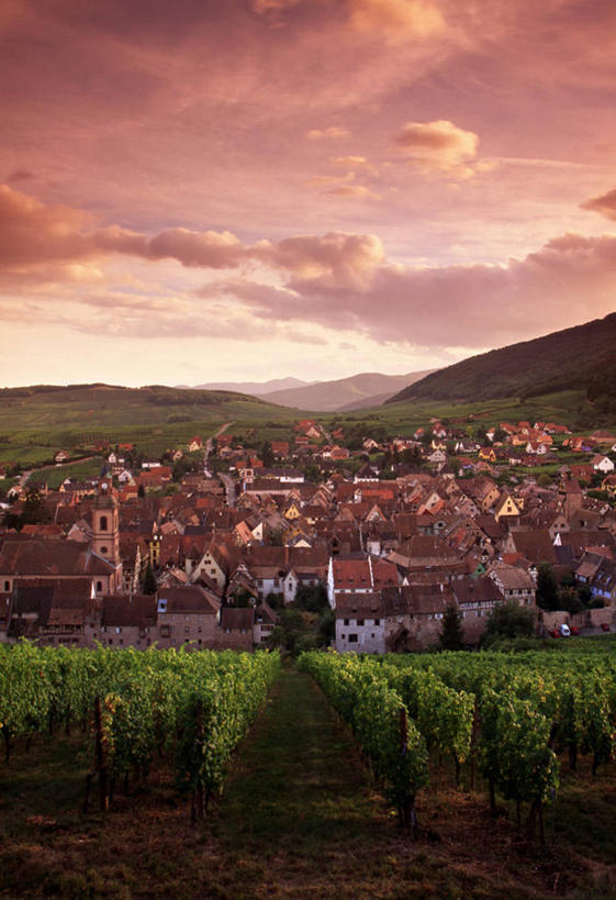 无人,竖图,室外,法国,欧洲,地形,乡村,葡萄园,摄影,阿尔萨斯,法国文化,彩图