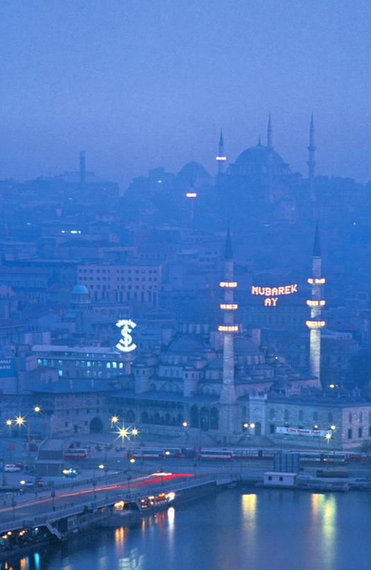 无人,竖图,夜晚,城市,欧洲,亚洲,摄影,清真寺,伊斯坦布尔,苏莱曼尼耶清真寺,彩图