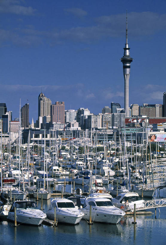 无人,竖图,城市,船,新西兰,游艇,摄影,澳大拉西亚,彩图,海港