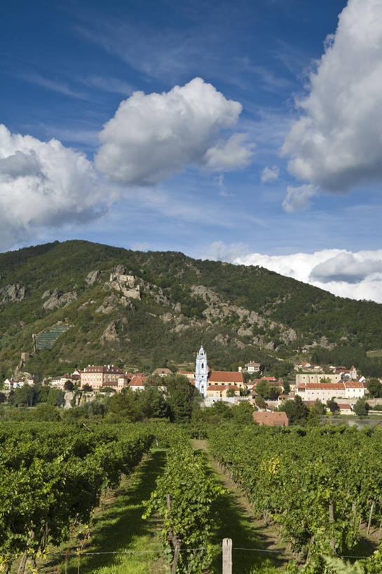 无人,竖图,室外,河流,奥地利,欧洲,地形,葡萄园,地标建筑,摄影,西欧,多瑙河,下奥地利州,彩图