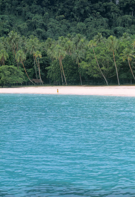 无人,竖图,室外,海洋,棕榈树,瓦努阿图,岛,地标建筑,摄影,热带气候,南太平洋,海滩,彩图