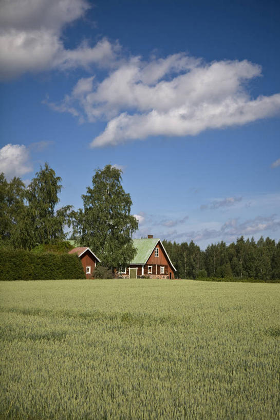 无人,竖图,欧洲,房屋,地形,田地,摄影,西欧,北欧,农舍,彩图