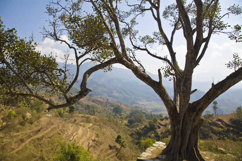 无人,横图,室外,山,尼泊尔,亚洲,地形,摄影,喜马拉雅山脉,彩图