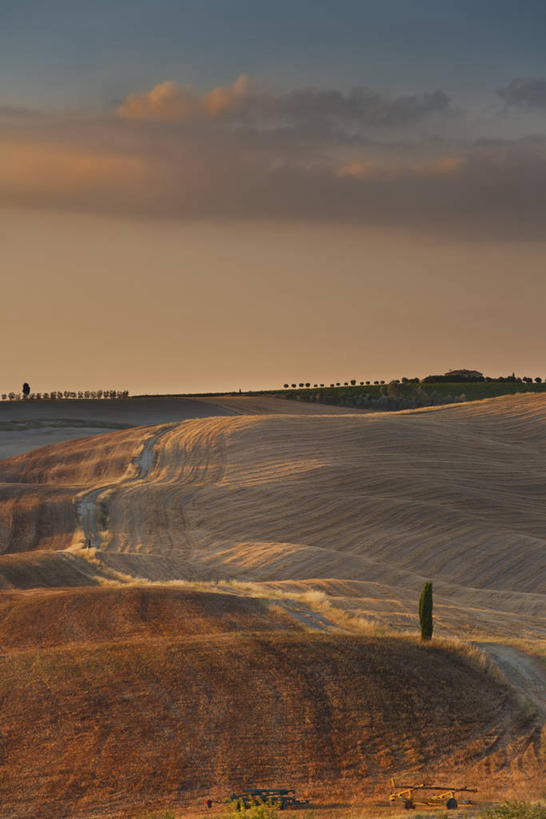 无人,竖图,室外,白天,留白,旅游,度假,农作物,日出,美景,日落,山,路,意大利,欧洲,景观,田地,谷类,娱乐,树,自然,享受,休闲,景色,放松,摄影,早晨,锡耶纳,自然风光,意大利文化,托斯卡纳区,维得斯卡,彩图,丝柏
