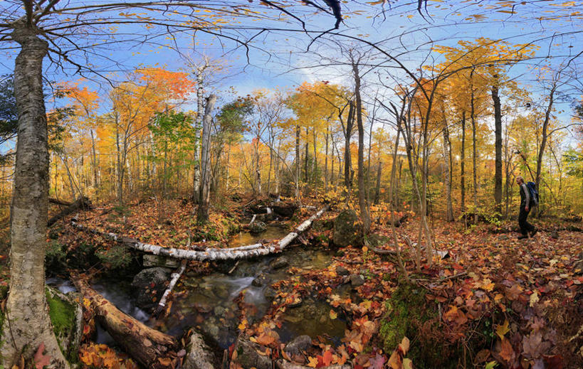 成年人,一个人,横图,室外,白天,留白,旅游,度假,探险,森林,美国,仅一个男性,仅一个人,娱乐,树,仅一个年轻男性,享受,休闲,放松,摄影,纽约州,阿迪朗达克州立公园,州立公园,冒险,男人,男性,年轻男性,年轻人,秋天,休闲活动,彩图,旅行,对焦