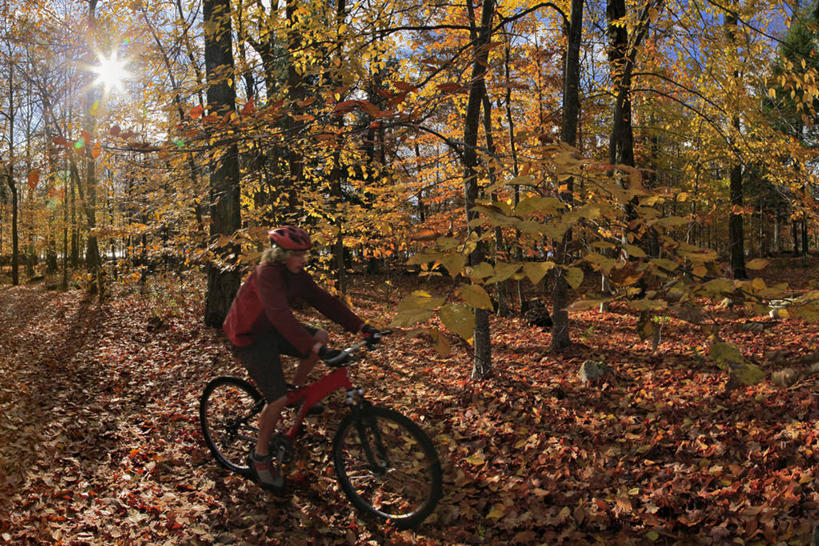 儿童,少年,一个人,横图,室外,白天,留白,镜头眩光,锻炼,旅游,度假,纯洁,运动,森林,自行车,美国,仅一个男性,仅一个人,山地车,娱乐,车,脚踏车,树,仅一个年轻男性,小孩,骑,交通工具,骑车,享受,休闲,放松,可爱,童年,童趣,摄影,载具,室外运动,户外运动,山地自行车,童真,烂漫,无邪,纽约州,阿迪朗达克州立公园,州立公园,天真,男人,男性,年轻男性,孩子,秋天,休闲活动,彩图,健身,旅行,对焦