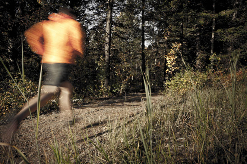 成年人,一个人,跑,横图,室外,白天,运动模糊,锻炼,森林,美国,仅一个男性,小路,树,背面,活力,摄影,生活方式,活动,决心,怀俄明,杰克逊霍尔,冒险,彩图