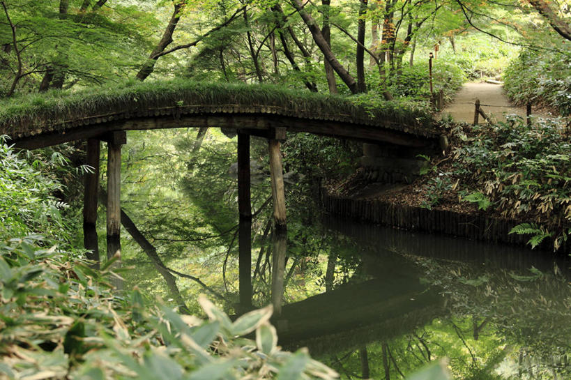 无人,公园,横图,室外,白天,水,东京,日本,反射,桥,首都,联系,树,自然,摄影,生长,彩图,文京区