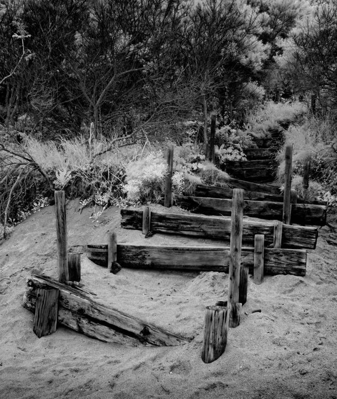无人,竖图,黑白,室外,白天,英国,破碎,木制,沙子,破坏,苏格兰,破损,台阶,树,自然,摄影,粉碎,损坏,毁坏,摧毁,海滩