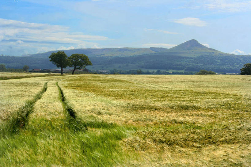 无人,横图,室外,白天,美景,山,山脉,英国,地形,景观,田地,云,草,树,风景,天空,自然,景色,摄影,宁静,自然风光,彩图,米杜士堡