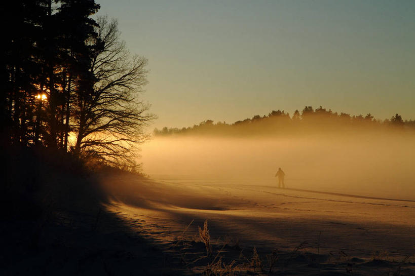 一个人,横图,室外,寂寞,日落,雾,日光,瑞典,冬天,天气,树,寒冷,摄影,剪影,万里无云,滑雪运动,休闲活动,彩图