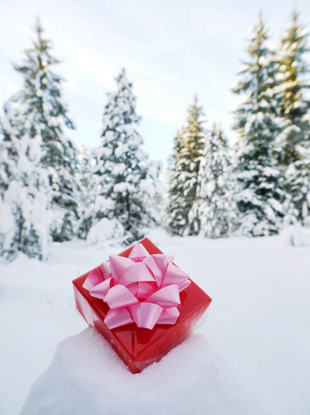 无人,竖图,室外,特写,白天,雪,松树,礼物,德国,圣诞节,庆祝,包装,冬天,缎带,圣诞礼物,盒子,树,红色,寒冷,摄影,惊奇,彩图,传统文化