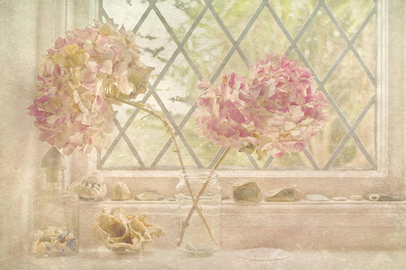 无人,横图,室内,白天,英国,窗台,花,摄影,脆弱,清新,广口瓶,式样,彩图