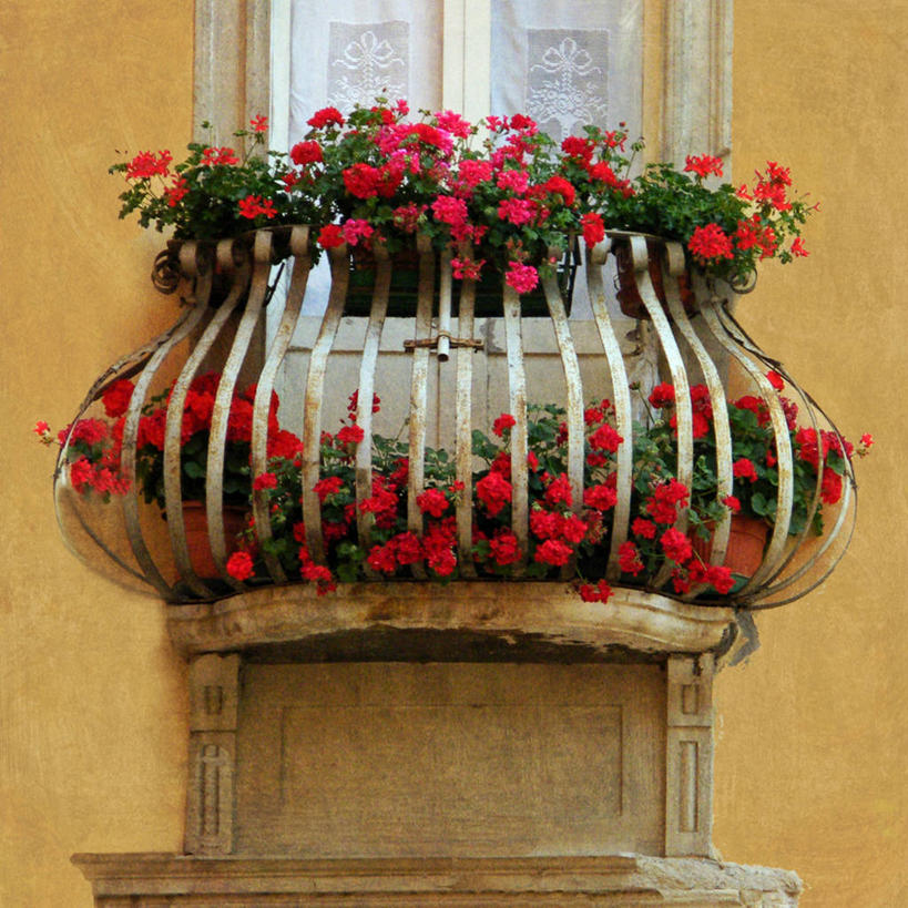 无人,栏杆,方图,室外,白天,窗户,阳台,建筑,意大利,城镇,花,红色,摄影,清新,意大利文化,马尔凯大区,彩图