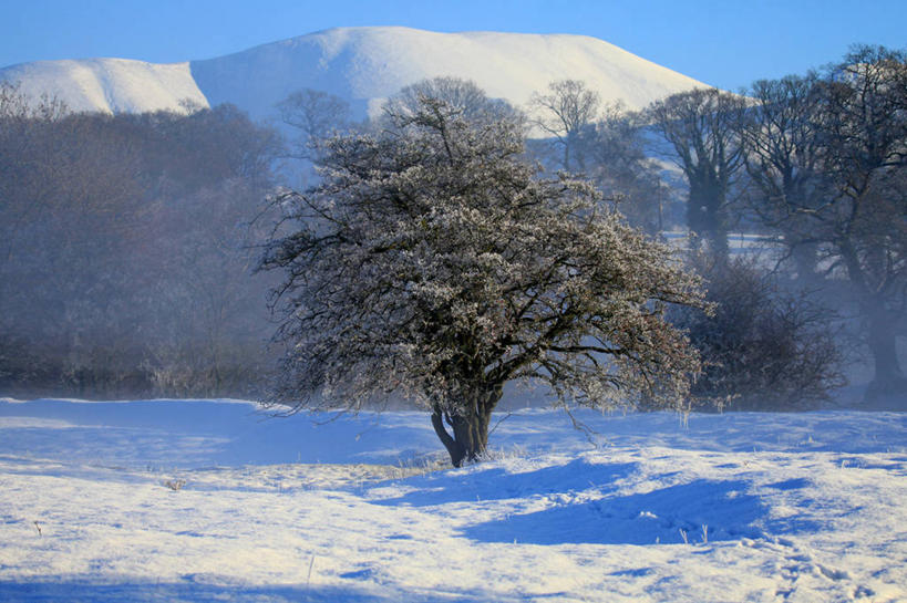 无人,横图,室外,白天,美景,山,雪,雪山,日光,英国,景观,霜,树,自然,山楂树,景色,寒冷,摄影,自然风光,坎布里亚,彩图