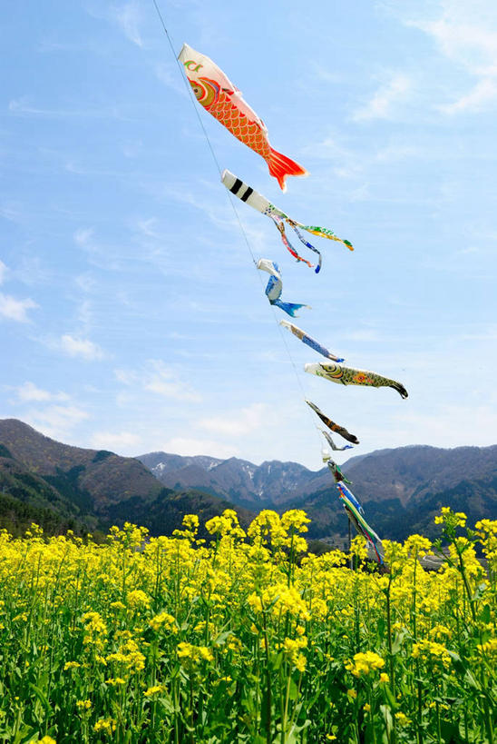 竖图,日本,摄影