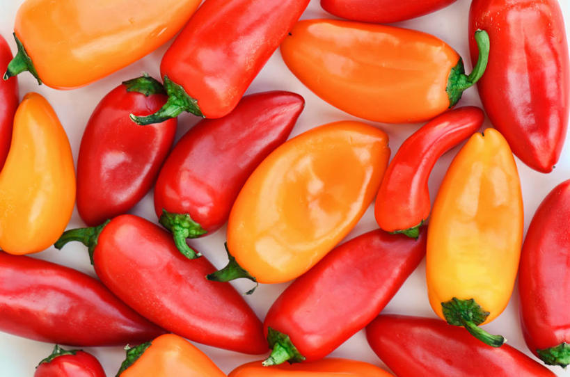 无人,横图,特写,白色背景,辣椒,静物,美国,许多,丰富,很多,摄影,有机食品,多样,黄辣椒,红辣椒,彩图,影棚拍摄