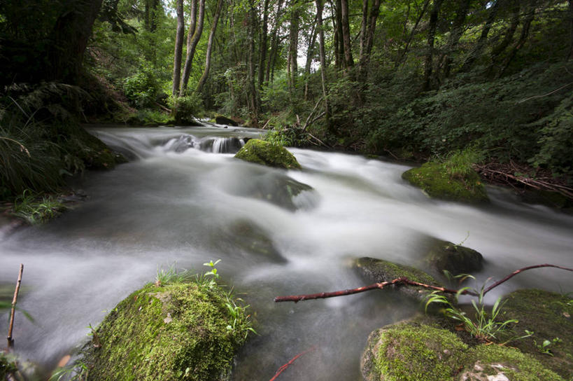 无人,横图,室外,白天,长时间曝光,河流,美景,森林,瑞士,景观,苔藓,树,自然,景色,摄影,自然风光,沃州,岩石,彩图