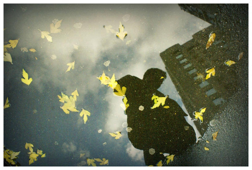 一个人,横图,室外,白天,雨,叶子,意大利,反射,云,天空,自然,摄影,脆弱,米兰,水坑,彩图