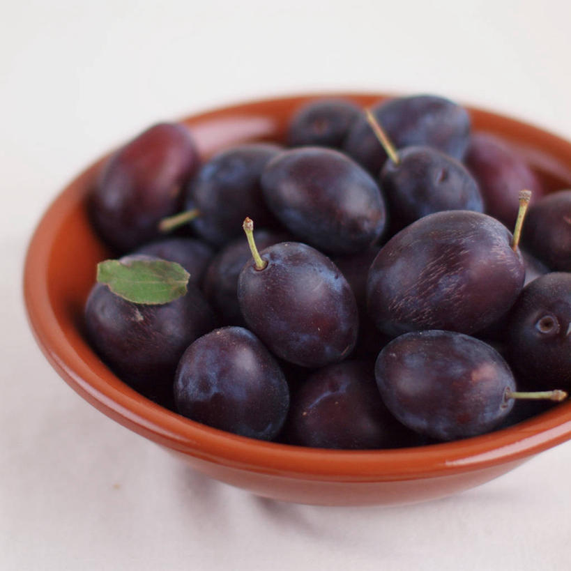 无人,方图,特写,白色背景,李子,静物,水果,德国,许多,丰富,很多,饮食,碗,摄影,清新,西梅,健康食物,彩图,影棚拍摄