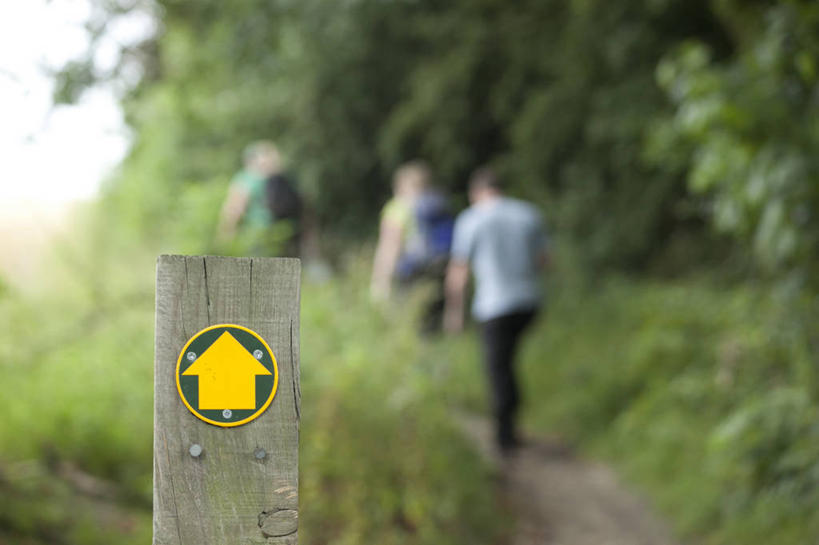 横图,室外,特写,白天,度假,指示牌,英国,行人,游客,游人,木制,标志,文字,方向,标识,路人,旅客,箭头,黄色,木桩,摄影,指导,指向,簇,方向标,南约克郡,过客,彩图,巴恩斯利