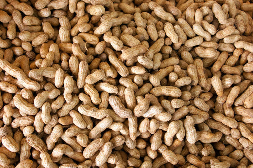 无人,横图,室内,特写,背景,新加坡,许多,丰富,首都,很多,饮食,摄影,新加坡市,彩图,全画面,全框架,全帧,全画幅