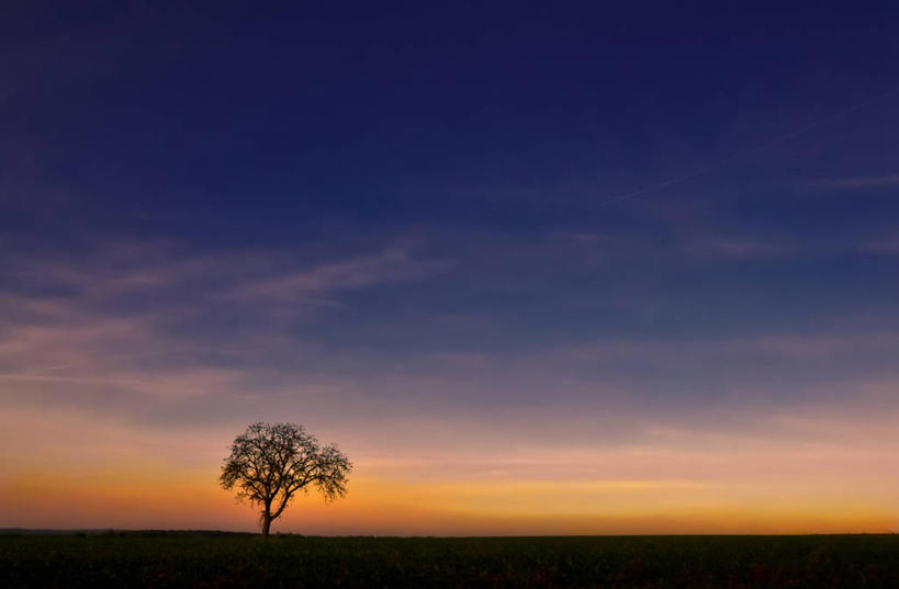 无人,横图,室外,寂寞,日落,德国,云,树,风景,自然,摄影,剪影,巴伐利亚,彩图