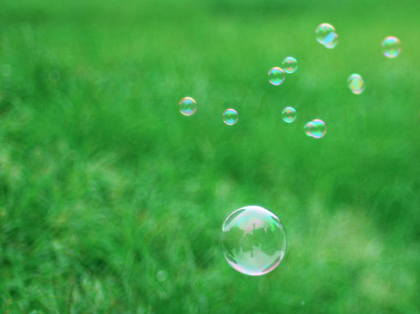 无人,横图,室外,特写,白天,日本,透明,反射,肥皂泡,光,半空,草,绿色,泡泡,摄影,脆弱,纯净,彩图