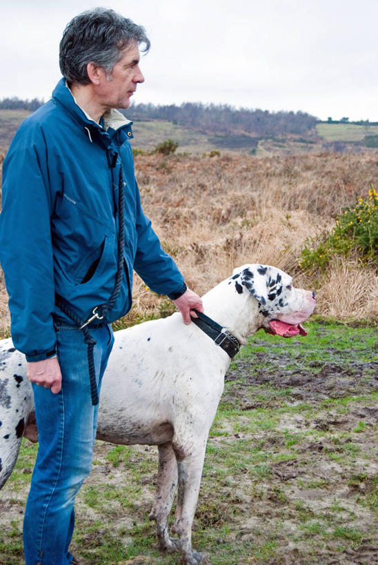 西方人,成年人,中年人,老年人,一个人,站,吃,竖图,室外,白天,友谊,宠物,狗,英国,欧洲,欧洲人,仅一个男性,仅一个人,仅一个中年男性,田地,拿着,休闲装,天空,摄影,泥,大丹狗,男人,男性,中年男性,白种人,彩图,宠物项圈