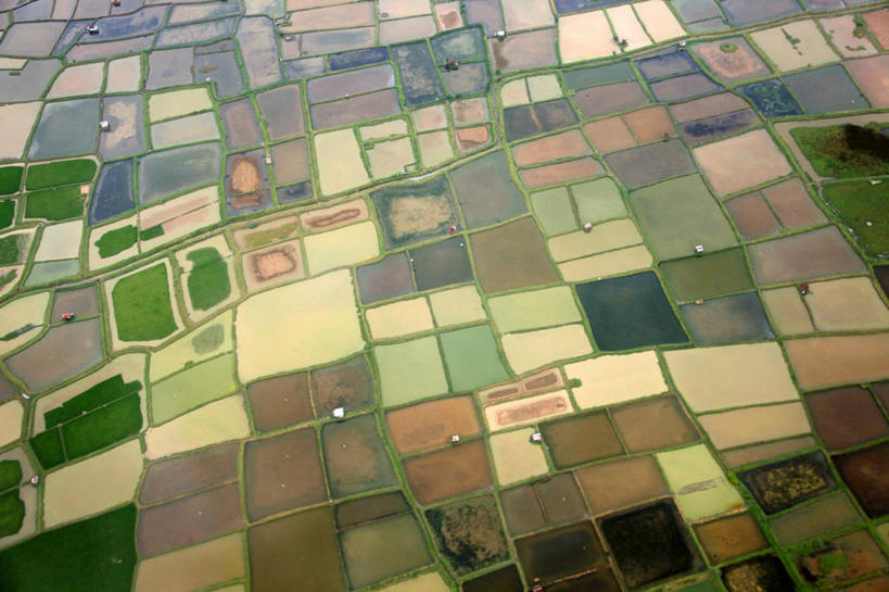 无人,横图,俯视,航拍,室外,白天,美景,印度尼西亚,稻田,地形,景观,田地,风景,自然,景色,摄影,生长,多样,宁静,鸟瞰,自然风光,彩图,高角度拍摄,望加锡