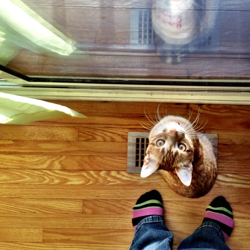 一个人,站,坐,方图,俯视,窗户,宠物,猫,加拿大,条纹,反射,首都,袜子,摄影,部分,足,渥太华,休闲活动,彩图,高角度拍摄
