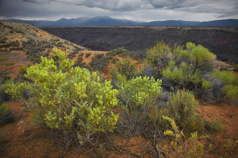无人,横图,室外,山,美国,云,草,树,天空,自然,摄影,宁静,新墨西哥,彩图