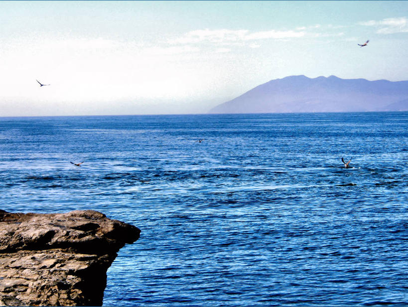 无人,横图,室外,白天,海洋,山,海鸥,巴西,鸟类,云,飞,天空,自然,摄影,五只,里约热内卢,岩石,彩图