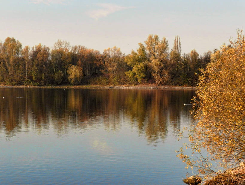 无人,公园,横图,室外,白天,湖,美景,水,德国,小的,反射,景观,树,天空,自然,景色,摄影,生长,宁静,自然风光,改变,杜塞尔多夫,秋天,彩图