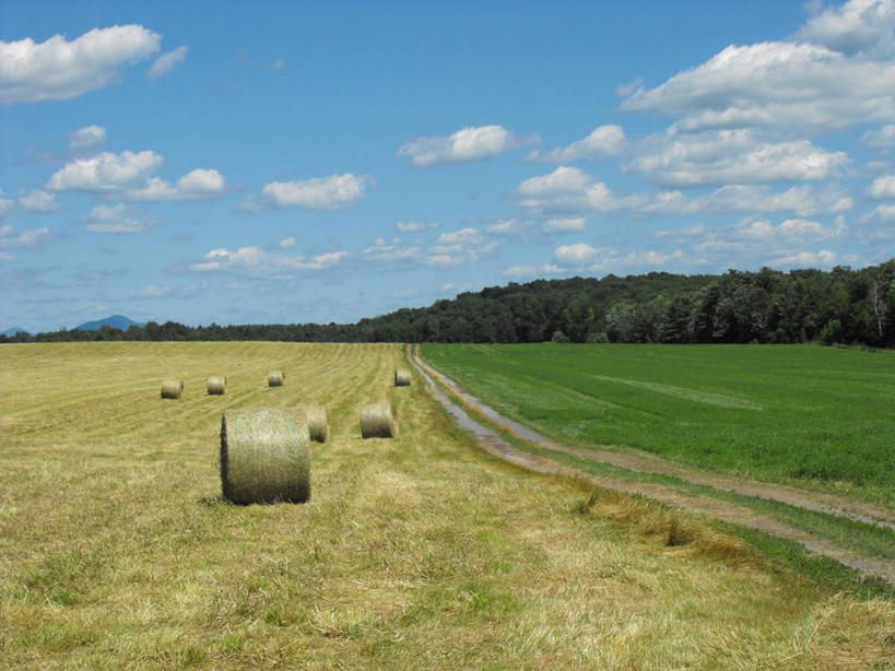 无人,横图,室外,白天,农业,美景,加拿大,地形,景观,田地,云,干草,风景,天空,自然,草垛,景色,卷起,摄影,宁静,自然风光,魁北克,干草垛,彩图